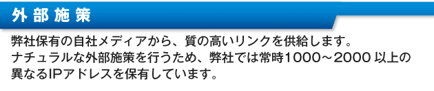 ・外部施策弊社保有の自社メディアから、質の高いリンクを供給します。ナチュラルな外部施策を行うため、弊社では常時1000～2000以上の異なるIPアドレスを保有しています。